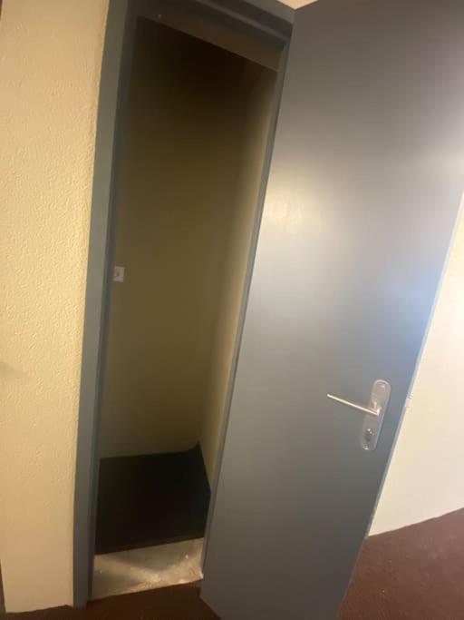 Charmant T4 Duplex Vue Montagne لودنفيال المظهر الخارجي الصورة